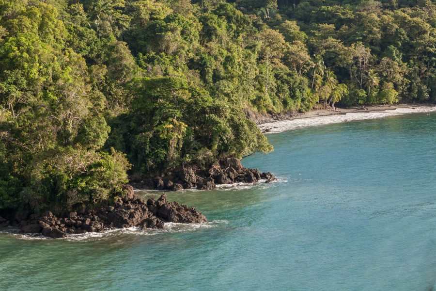 Playa La Macha Manuel Antonio